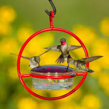 Red Orb With Perch Hummingbird Feeder