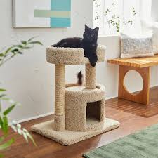 hyy 27 in real carpet cat tree with