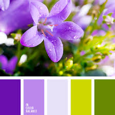 verde y violeta in color balance
