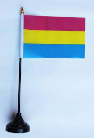 A list of many of the pride flags in the lgbtq+ community,. Small Pansexual Pride Flag 10 X 15 Cm On Stick With Black Stand