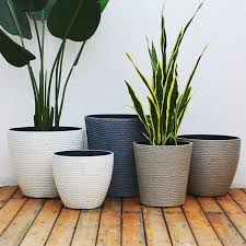Big Ceramic Pots Plants Best In