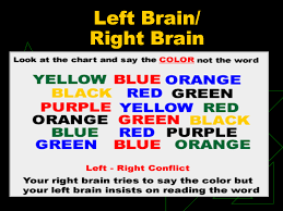 Quotes About Right And Left Brain 63 Quotes