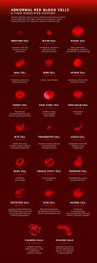 visualizing the composition of blood
