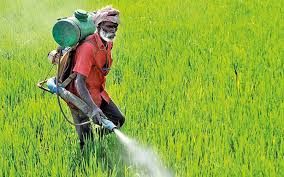 banning chemical fertiliser right