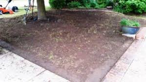 These are some factors that can affect sod prices. How Much Does It Cost To Sod A Yard Cost To Sod A New Lawn