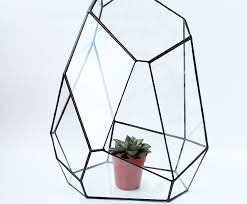 Terrarium Geometric Glass Terrarium