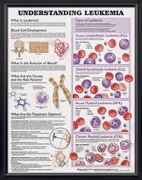 Understanding Leukemia Chart 20x26 Oncology Nursing