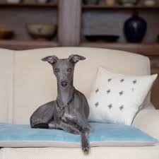 dog sofa throws luxury dog blankets