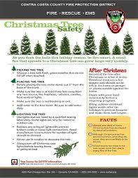 Tree Safety Tips