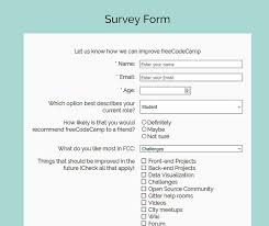 Survey Form Struggling With The Beta Fcc Project Project