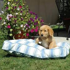 Dog Pet Beds