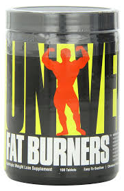 fat burner easy to swallow at best