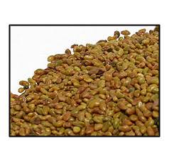 organic alfalfa seeds 2 pounds