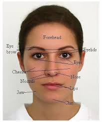 Did the human face evolve to enhance social communication? It S Written All Over Your Face The Science Of Facial Expressions Science Project