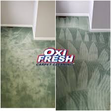 oxi fresh carpet cleaning st peters