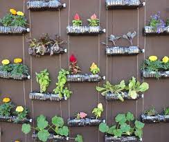 Vertical Gardening For Maximizing Space