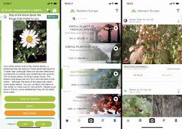This app is so advance that. The 8 Best Plant Identification Apps Of 2021