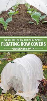 pests out with floating row covers