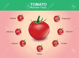 Tomato Nutrition Facts Tomato Fruit With Information Tomato Vector