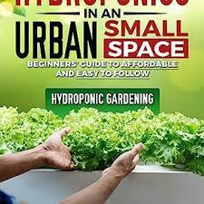 diy hydroponics in an urban small e