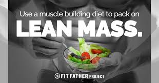 muscle building t plan pack on lean