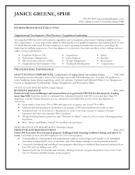 Objective Statement On A Resume Resume Mission Statement