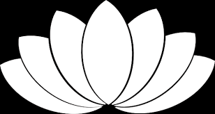 Image result for lotus flower black and white
