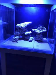 In this video i present aqu. Aquascaping Ideas Nano Reef2reef Saltwater And Reef Aquarium Forum