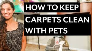 how to keep carpet clean especially
