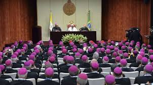 Image result for pictures of pope francis and bishops
