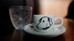 8 dog friendly coffee s in san