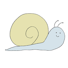 to draw a snail easy drawing tutorial