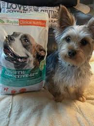 rayne clinical nutrition for your dog