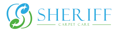 professional carpet cleaning services