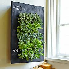 How To Get The Look Living Plant Wall
