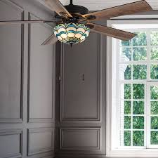indoor ceiling fan