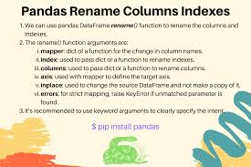 pandas rename column and index