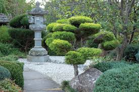 Backyard Into A Japanese Style Garden