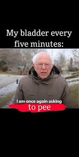 The meme is an image macro from bernie sanders' fundraising video. I Am Once Again Asking Meme Explore Tumblr Posts And Blogs Tumgir