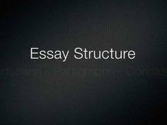 Best     Essay writing ideas on Pinterest   Essay writing tips  Vocabulary  and Creative writing