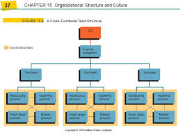 65 Described Cross Functional Organizational Structure
