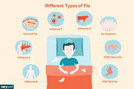 Touching an infected bird or coming. Understanding The Different Kinds Of Flu Viruses