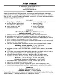 Sales And Marketing Manager Resume samples   VisualCV resume    