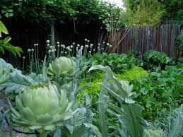 10 Ideas For A Front Yard Edible Garden