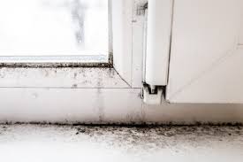 tips to prevent mold in windows