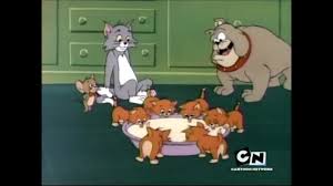 tom and jerry show the kitten sitters