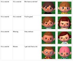 Buretto Crossing Animal Crossing New Leaf Face Guide