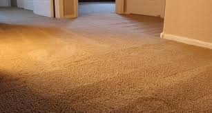 northern arizona carpet repair