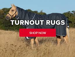horse rugs
