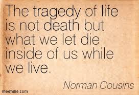 norman cousins quotes - Google Search | Sayings | Pinterest via Relatably.com